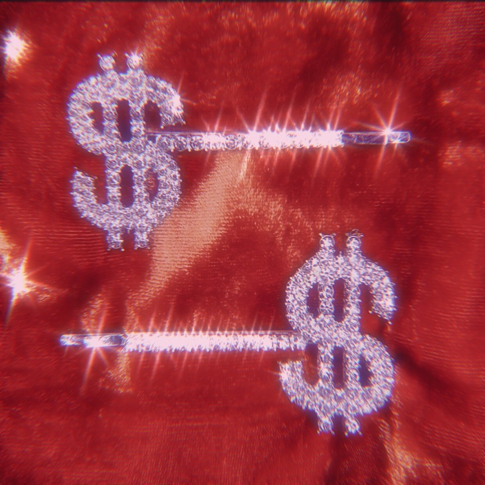 💵 DOLLAR SIGN HAIR CLIPS 💵